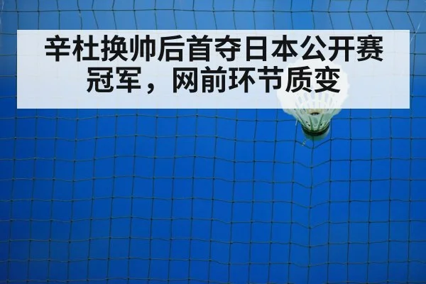 badminton net shot